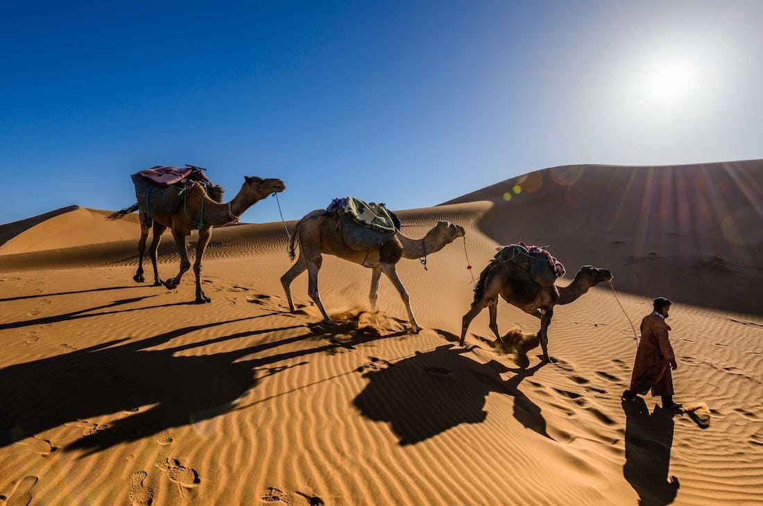 Desert Safari in the Sahara