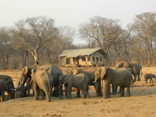 A Sustainable Eco Camp in Hwange National Park, Zimbabwe